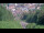 Webcam in Bad Wildbad, 25.6 km entfernt