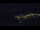 Webcam in Bad Wildbad, 34.7 km