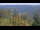 Webcam in Bad Wildbad, 1.2 km