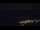 Webcam in Bad Wildbad, 11.9 mi away
