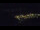 Webcam in Bad Wildbad, 9.9 mi away