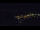 Webcam in Bad Wildbad, 10.9 mi away