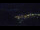 Webcam in Bad Wildbad, 10 mi away