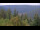 Webcam in Bad Wildbad, 1.3 km entfernt