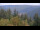 Webcam in Bad Wildbad, 10 mi away