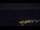 Webcam in Bad Wildbad, 15.6 mi away