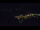 Webcam in Bad Wildbad, 13.8 mi away