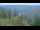 Webcam in Bad Wildbad, 11.7 mi away