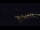 Webcam in Bad Wildbad, 36.6 km
