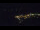 Webcam in Bad Wildbad, 36.6 km
