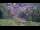 Webcam in Bad Wildbad, 1.2 km