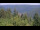 Webcam in Bad Wildbad, 14.2 mi away