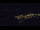 Webcam in Bad Wildbad, 13.8 mi away