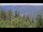 Webcam in Bad Wildbad, 13.8 mi away