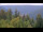 Webcam in Bad Wildbad, 11.3 mi away