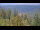 Webcam in Bad Wildbad, 1.3 km entfernt