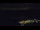 Webcam in Bad Wildbad, 10.8 mi away