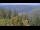 Webcam in Bad Wildbad, 11.8 mi away