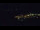 Webcam in Bad Wildbad, 10 mi away
