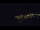 Webcam in Bad Wildbad, 11.7 mi away