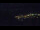 Webcam in Bad Wildbad, 14.1 mi away