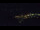 Webcam in Bad Wildbad, 1.1 km