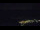 Webcam in Bad Wildbad, 10 mi away