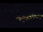 Webcam in Bad Wildbad, 9.9 mi away