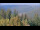 Webcam in Bad Wildbad, 9.9 mi away