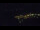 Webcam in Bad Wildbad, 13.8 mi away