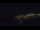 Webcam in Bad Wildbad, 10 mi away