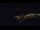 Webcam in Bad Wildbad, 10 mi away