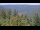 Webcam in Bad Wildbad, 1.3 km