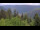 Webcam in Bad Wildbad, 14 mi away