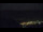Webcam in Bad Wildbad, 1.3 km