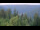 Webcam in Bad Wildbad, 13.8 mi away