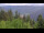 Webcam in Bad Wildbad, 1.3 km