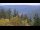 Webcam in Bad Wildbad, 10 mi away