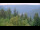 Webcam in Bad Wildbad, 14.2 mi away