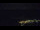 Webcam in Bad Wildbad, 10.8 mi away