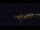Webcam in Bad Wildbad, 14.1 mi away