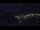 Webcam in Bad Wildbad, 11.3 mi away