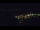 Webcam in Bad Wildbad, 10 mi away