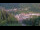 Webcam in Bad Wildbad, 9.3 mi away
