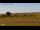 Webcam in Norden, 2.6 km entfernt