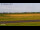 Webcam in Norden, 9.3 km