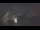 Webcam in Gaienhofen, 5.3 mi away