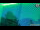 Webcam in Neumarkt i.d.OPf., 10.3 mi away