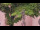 Webcam in Rottweil, 8.1 mi away