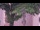Webcam in Rottweil, 12 mi away